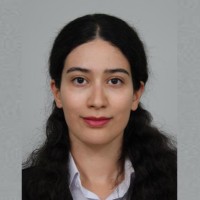 Elham Mirafzali