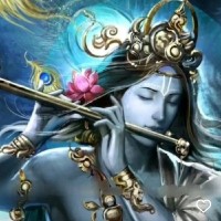 Aradhna K