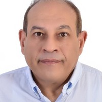 Tarek Guirguis
