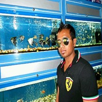 hasan dj
