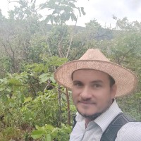 Sinfrônio Ramos Silva Junior