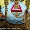 Vijendra Singh