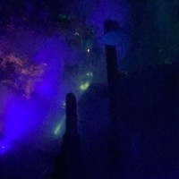 Sky Light