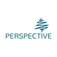 PERSPECTIVE -  Art for Every View