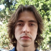 Pedro Henrique Poli Domingos de Oliveira