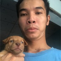 Tran Nghia