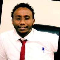 Ibrahim Elmahdi M. Abayzid