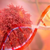 genetics olc