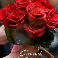 Shemeena Pm Shemi