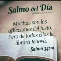 Jefeerson Antonio De Los Santos