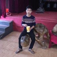 陈冬燕