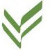 Datafrond Llc