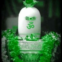 Amrutha Reddy B