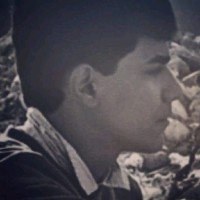مصطفى حيدر