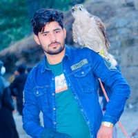 Sajjad Ali