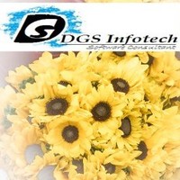 DGS Infotech Software Consultant