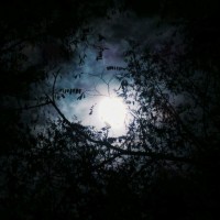 정범수