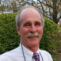David Wisner