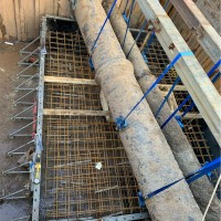 Marius Janusauskas