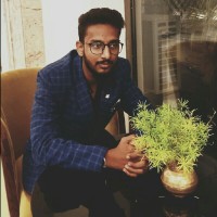 Raj Aryan
