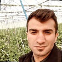 Uğur Külüğ