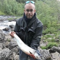 Ole Inge Fjærestad Nummedal