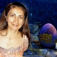 Neelam Daswani