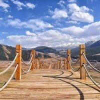 汤敏正