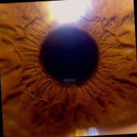 Francisco Javier Ortega Luna