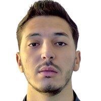 Hamza Badi