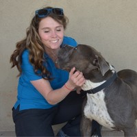 Brittany Linkenheimer