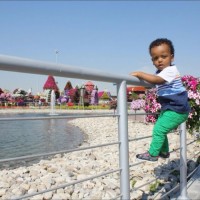 Tsega Getahun