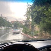 منيرة الفيفي