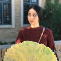 Shokh Dashti