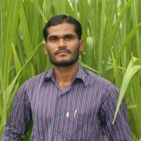 Syedahemad Murtaza