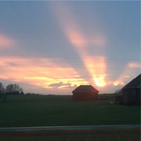 Burt Griggs and Joseph White