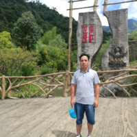 林金文