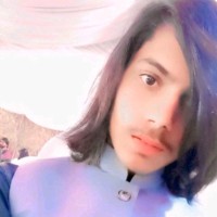 Wh Mughal