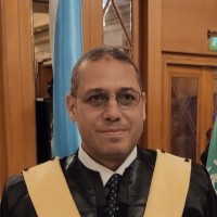 Ahmed Yousry, Mba