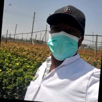 Peter Muambi