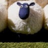 モコ Miyazaki