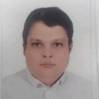 Waleed Hefni