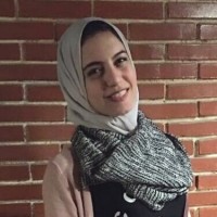 Samar Abdel Nasir