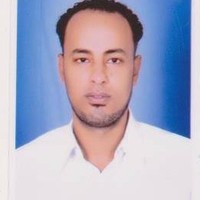 Medhat Abd El Hamed