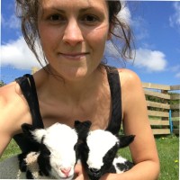 Amy Lawson