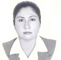 Verónica Castro C. Sistemas