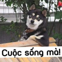 Do Hoang