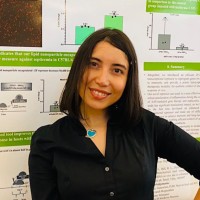 Tara (Tahere) Mokhtari, PhD