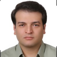 Hossein Mohammadinejad