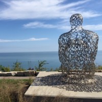 Translation Services LTD